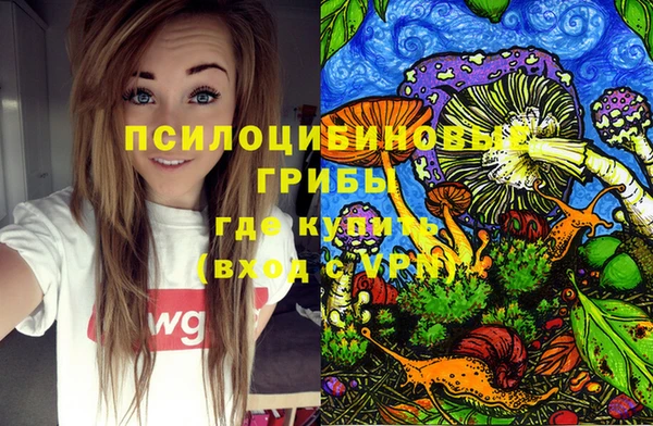 бошки Алексеевка