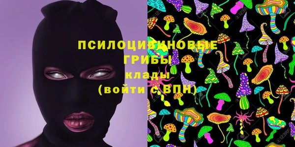 бошки Алексеевка