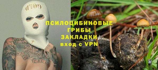 бошки Алексеевка